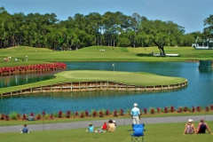 17th Hole at TPC Sawgrass, Ponte Vedra, jacksonville