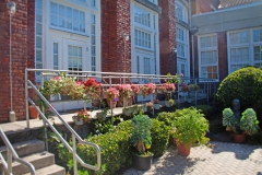 The garden area at The Lofts San Marco